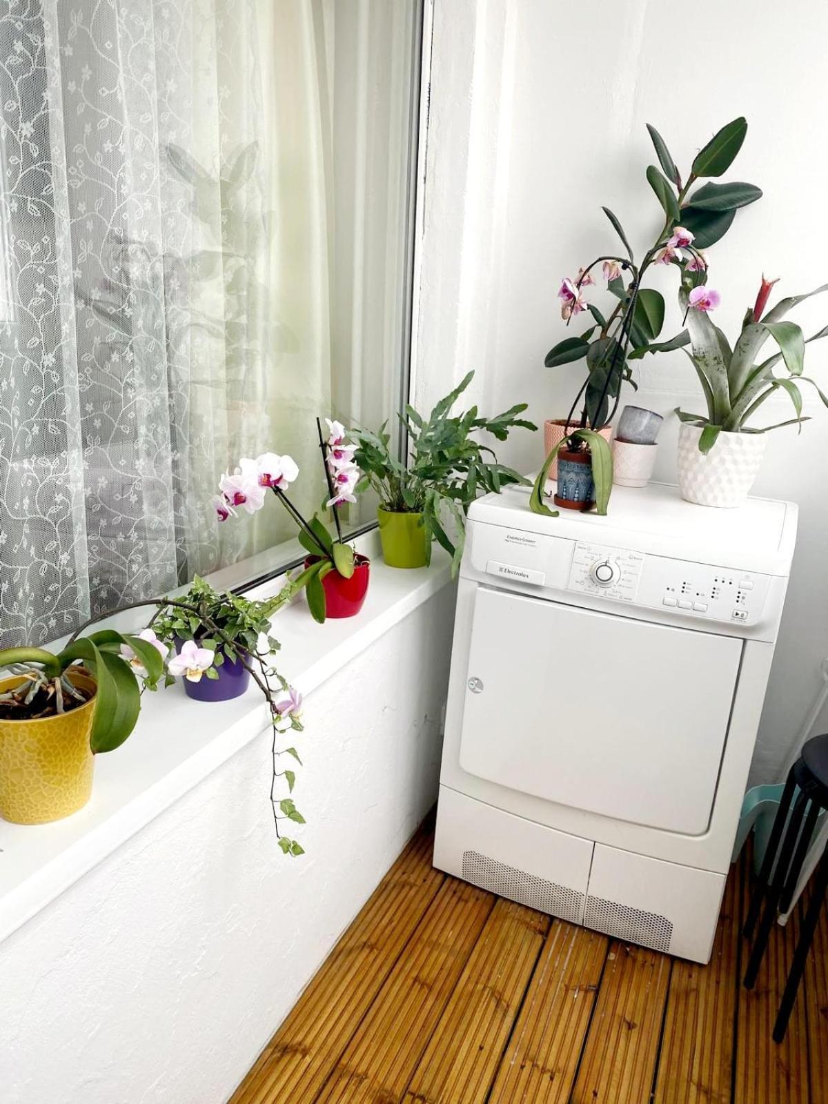 Liepāja Seaview Flat 아파트 외부 사진